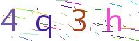 Verify Code