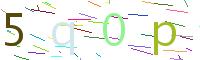 Verify Code
