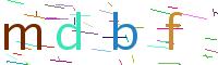 Verify Code