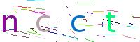 Verify Code